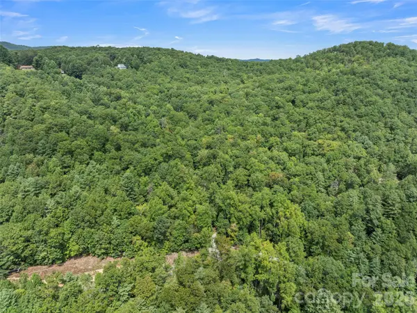 812 Crab Creek RD, Hendersonville, NC 28739