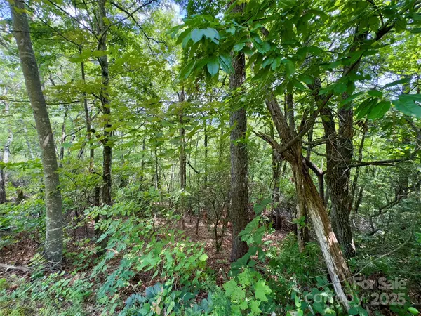 94 Galax DR #T-44, Black Mountain, NC 28711