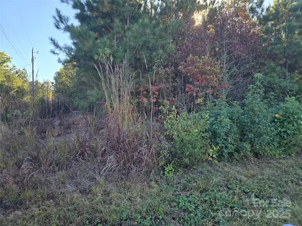 0 Moss LN, New London, NC 28127