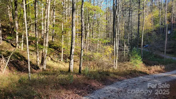 000 Cabin Hill RD, Green Mountain, NC 28740