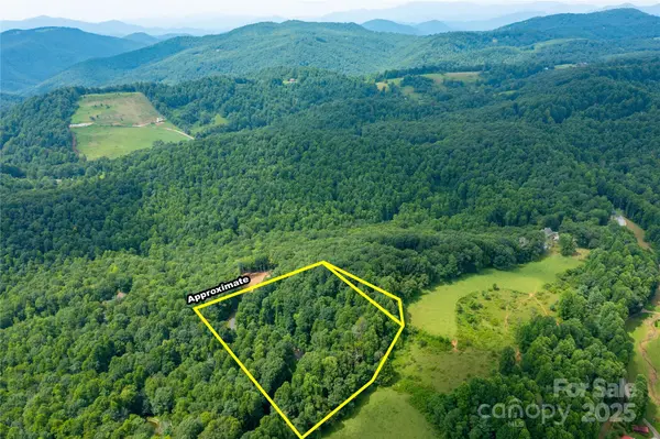 000 Sassafras DR, Little Switzerland, NC 28777