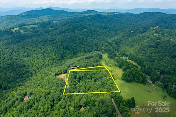 000 Sassafras DR, Little Switzerland, NC 28777