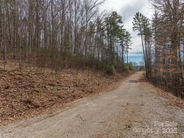00 Wildlife DR #7, Clyde, NC 28721