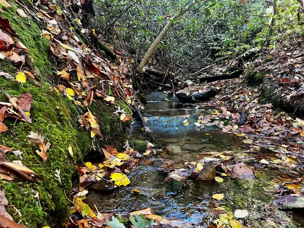 TBD Old Toxaway RD, Brevard, NC 28712