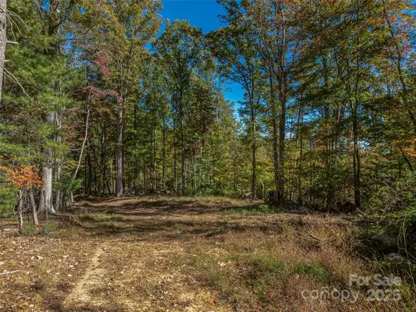 99999 Meadows Town RD, Marshall, NC 28753