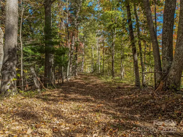 99999 Meadows Town RD, Marshall, NC 28753