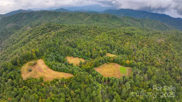 999 Poplar Creek RD, Green Mountain, NC 28740