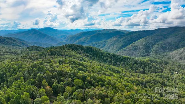 999 Poplar Creek RD, Green Mountain, NC 28740