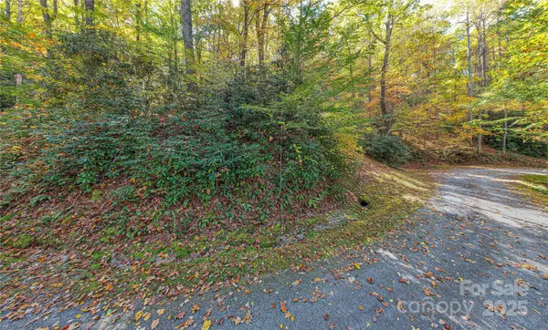 TBD Reserve RD #9A, Brevard, NC 28712