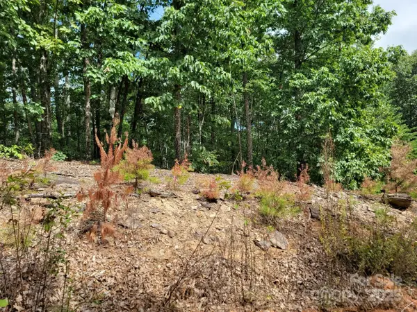 219 Judy RD, Casar, NC 28020