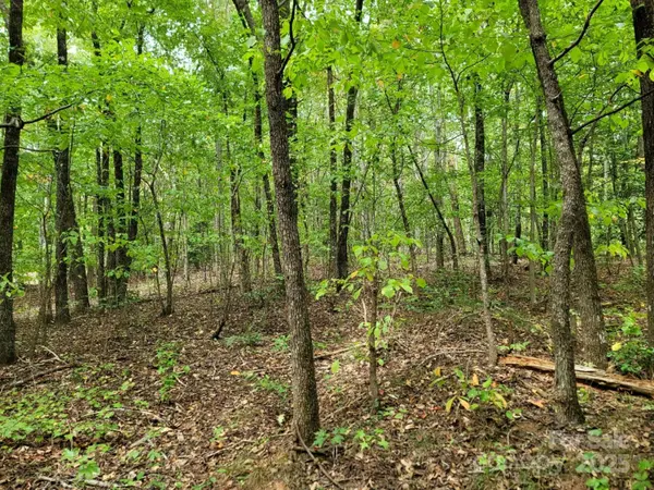 219 Judy RD, Casar, NC 28020