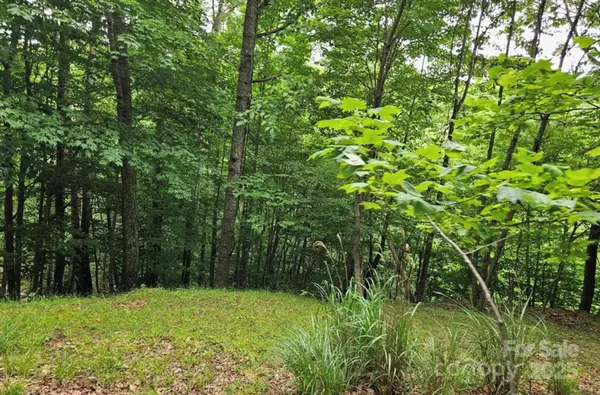 Lot 3 Mountain View RD, Burnsville, NC 28714