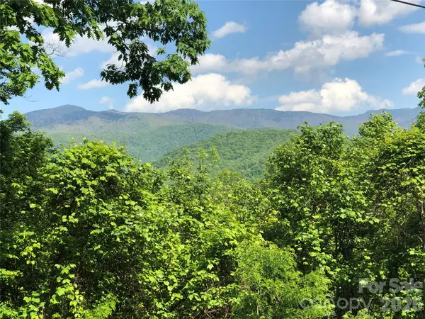 Lots 61 and  62 Wildwood DR, Burnsville, NC 28714