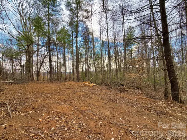 2800 Snipes ST #3, Morganton, NC 28655