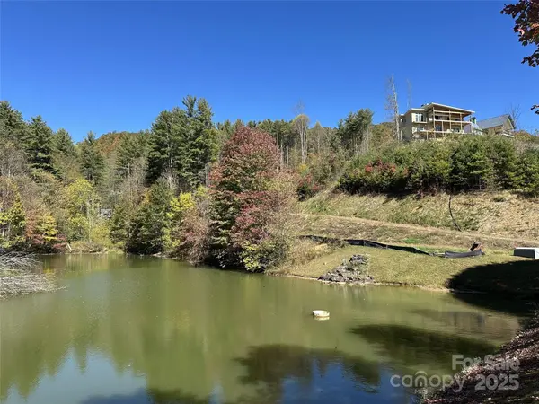 11 Freshwater CV, Maggie Valley, NC 28751