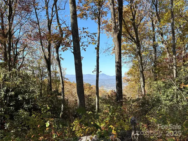 45 Trillium Garden TRL #Lot 29, Fletcher, NC 28732