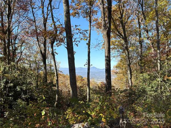 45 Trillium Garden TRL #Lot 29, Fletcher, NC 28732