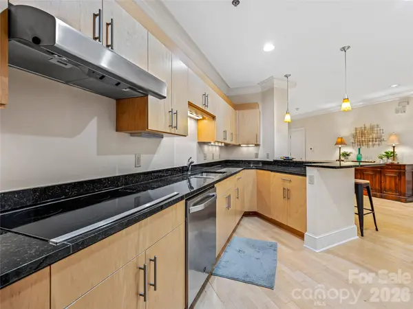 21 Battery Park AVE #308, Asheville, NC 28801