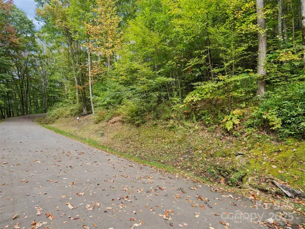 Lot 23 Finlaystone TRCE, Waynesville, NC 28786