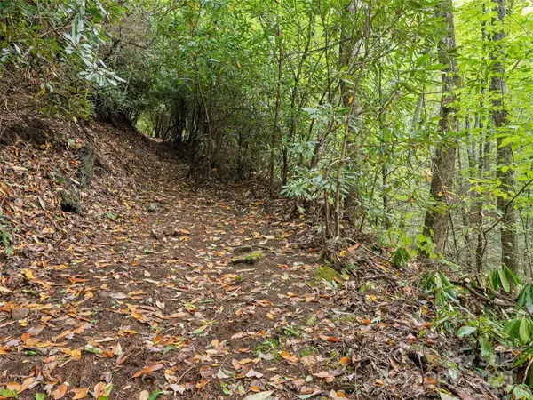 Lot 23 Finlaystone TRCE, Waynesville, NC 28786