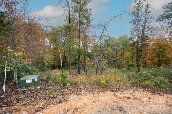 269 Mooseheart RD, Nebo, NC 28761