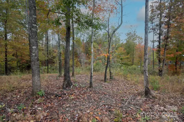 269 Mooseheart RD, Nebo, NC 28761