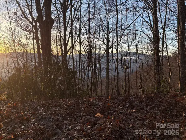 899 Hyacinth DR, Clyde, NC 28721