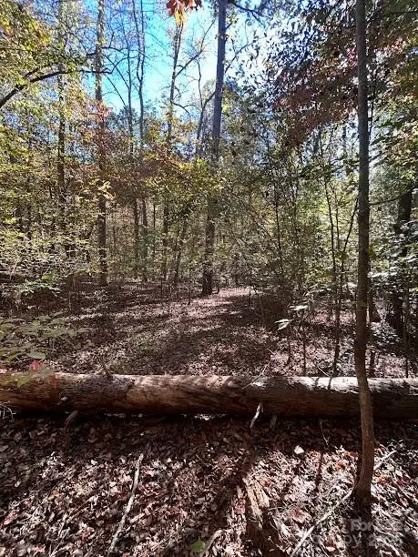 TBD Cross Creek DR #140, Rutherfordton, NC 28139