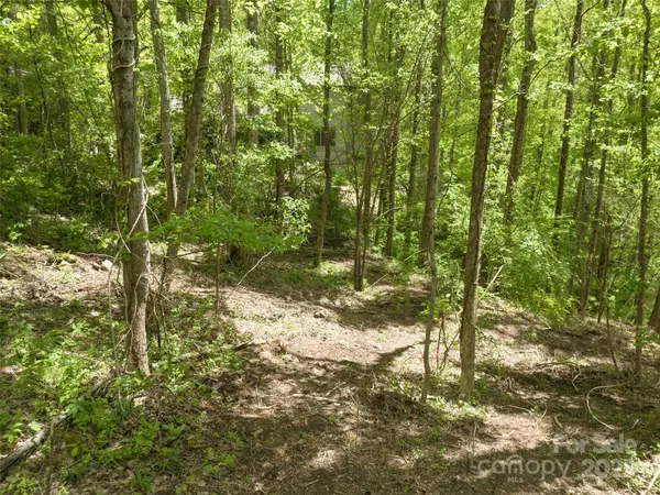 26 Fall Mountain RD #58, Asheville, NC 28803