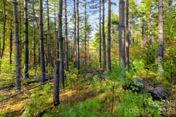 0 West Point DR, Nebo, NC 28761