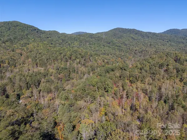 3298 Buffalo Creek RD, Lake Lure, NC 28746