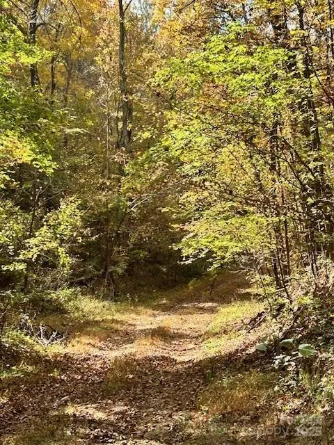 000 Curlee RD, Polkton, NC 28135
