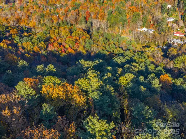 51 Rice Branch RD, Asheville, NC 28804