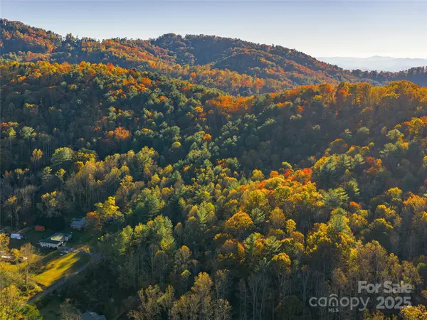51 Rice Branch RD, Asheville, NC 28804