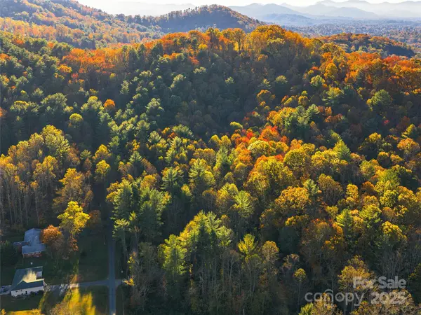51 Rice Branch RD, Asheville, NC 28804