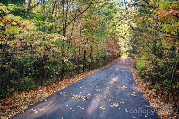 9 Wapama Falls DR #17, Black Mountain, NC 28711