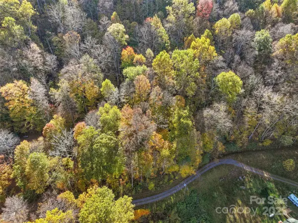 Lot 316 McGuires RDG #316, Waynesville, NC 28786