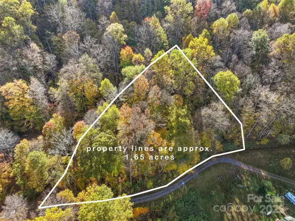 Lot 316 McGuires RDG #316, Waynesville, NC 28786