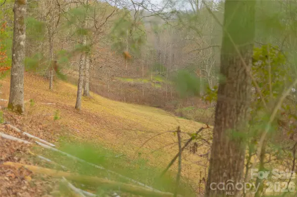 104 Robin LN, Bryson City, NC 28713