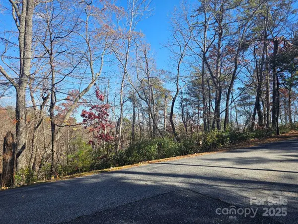 0 Lure Ridge DR #1, Lake Lure, NC 28746
