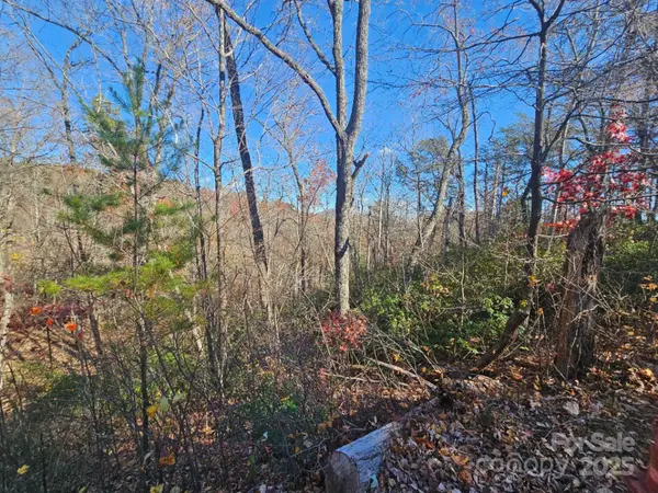 0 Lure Ridge DR #1, Lake Lure, NC 28746