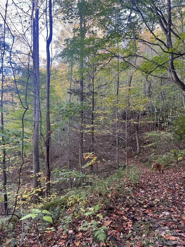 9999 Fox Town RD, Hot Springs, NC 28743