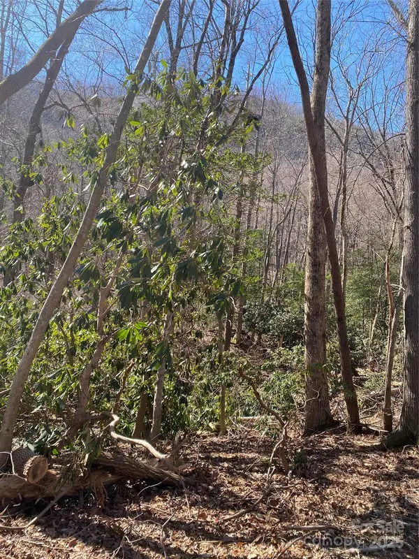 0000 Raleigh DR #8 & 9, Lake Lure, NC 28761