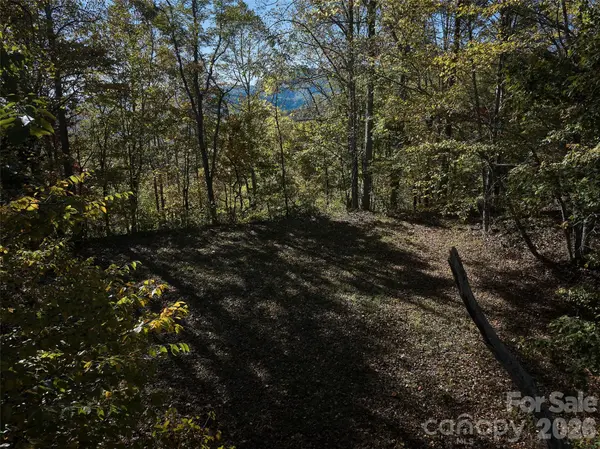 0 Glory Mountain RD, Bryson City, NC 28713