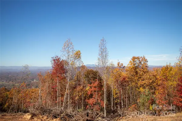 Lot# 3 Peregrine TER #3, Lenoir, NC 28645