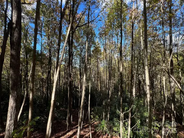 0 Wild Magnolia WAY #46, Zirconia, NC 28790
