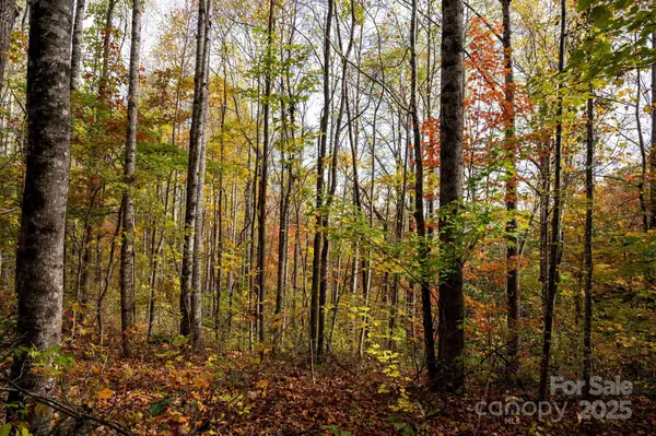 4B LOWER FLAT CREEK RD, Black Mountain, NC 28711