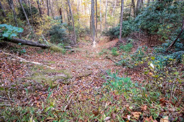 4B LOWER FLAT CREEK RD, Black Mountain, NC 28711