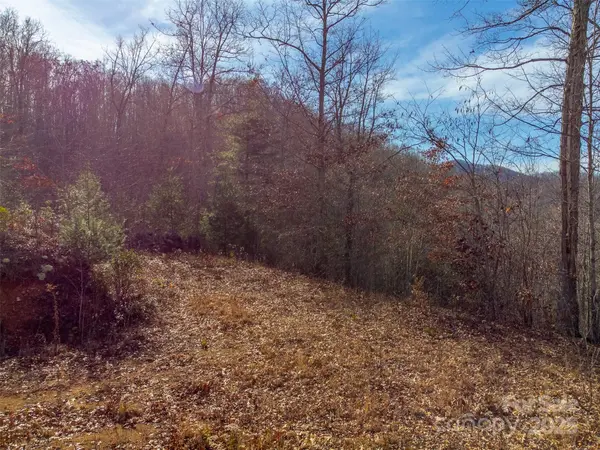 00 Garnet RD, Sylva, NC 28779