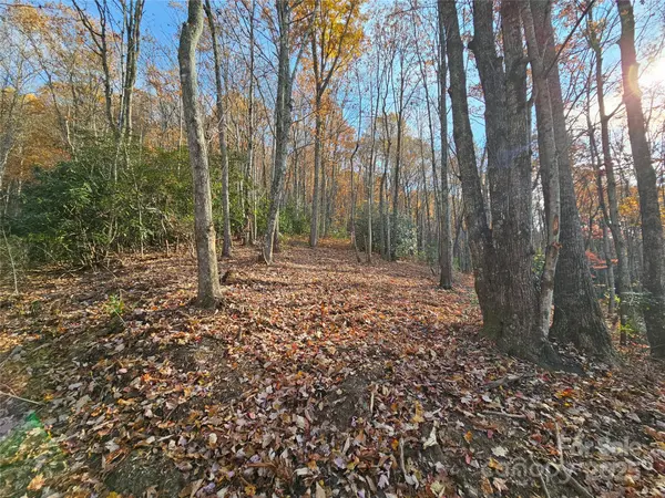 9999-12 Bob Barnwell RD, Asheville, NC 28803